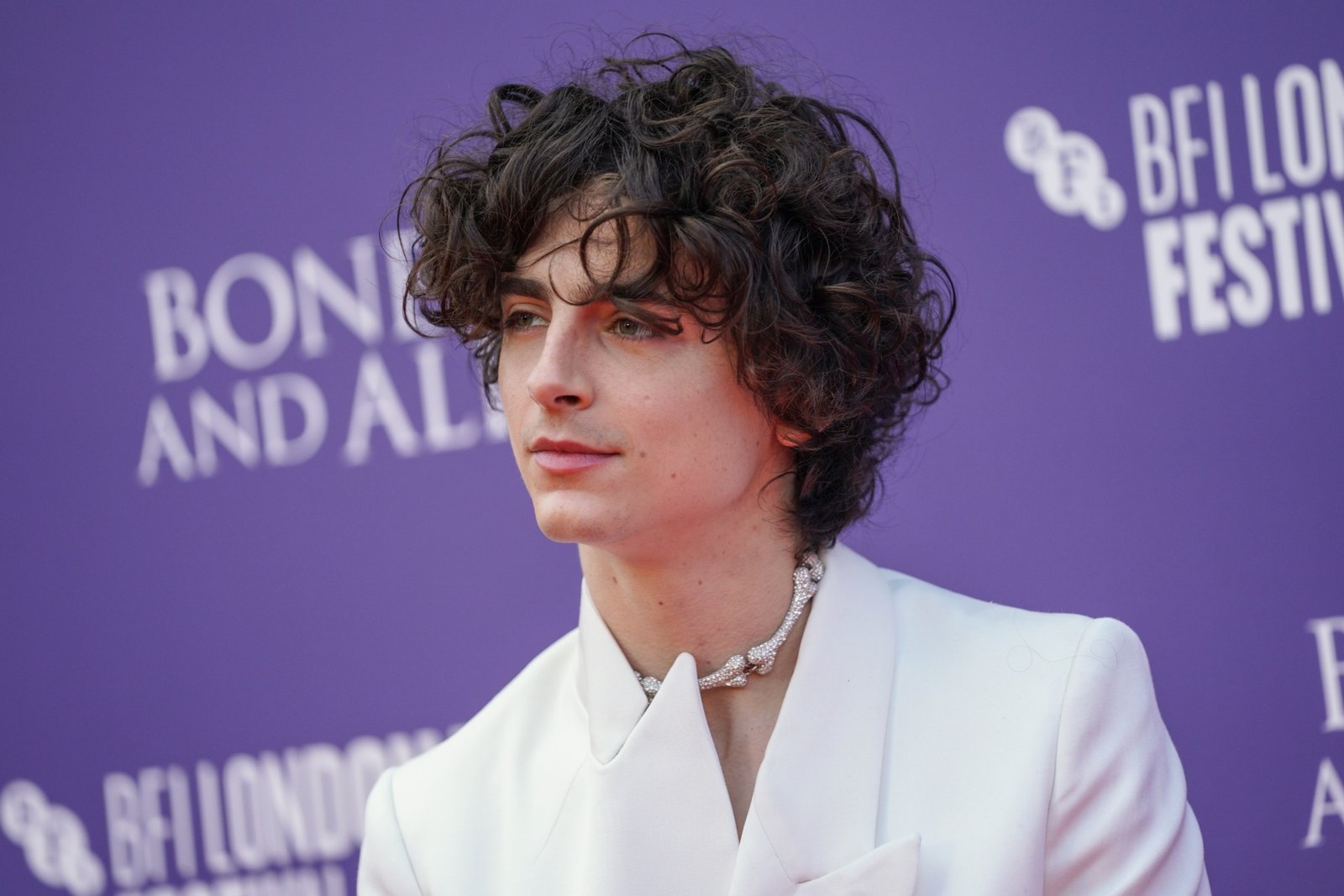 Timothee Chalamet Net Worth